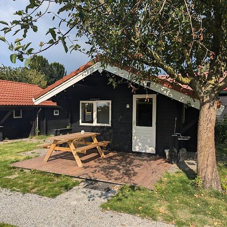 The Bee - Trekkershuts & Apartment Opperdoes Dış mekan fotoğraf